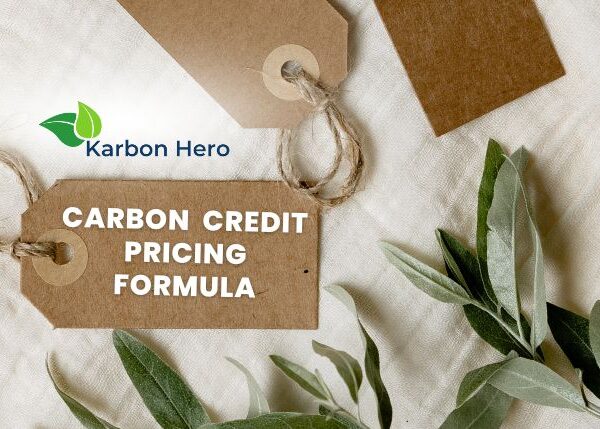 Wordpress header Karbon Hero : Carbon Credit Pricing Formula